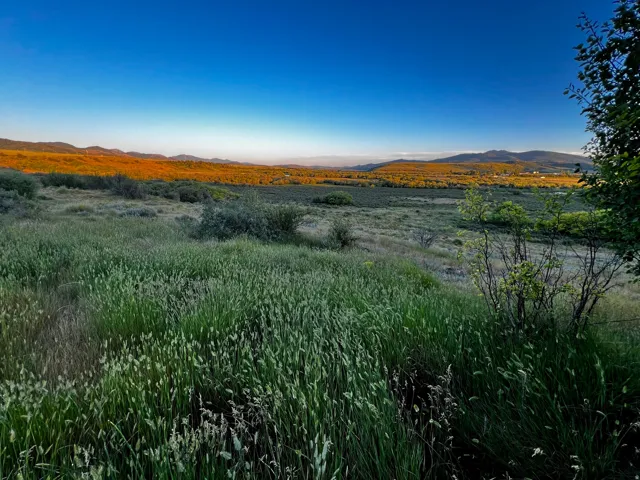 Expansive natural landscape featuring varied terrain, abundant green vegetation, distant rolling hills, and a clear blue sky