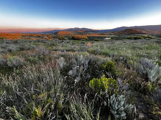 Expansive open land featuring natural grasses and diverse brush, set against a backdrop of distant mountains and a clear sky