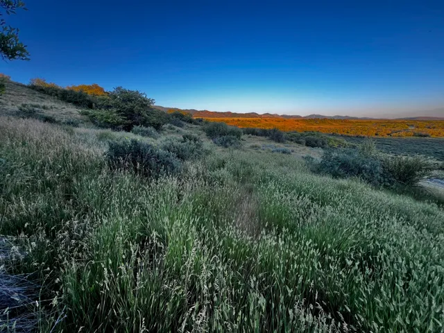 Expansive natural landscape featuring rolling hills and distant mountains