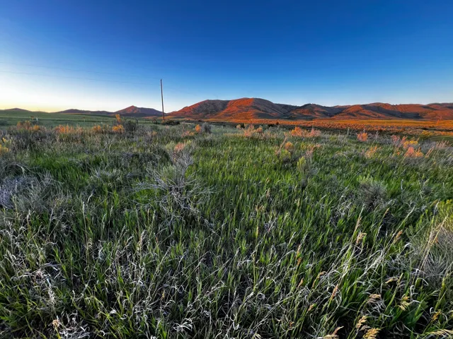 Expansive open landscape featuring natural grasses and distant mountains