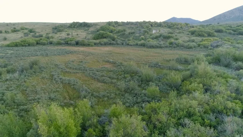 Expansive natural landscape featuring varied green foliage, distant hills, and open grassy areas
