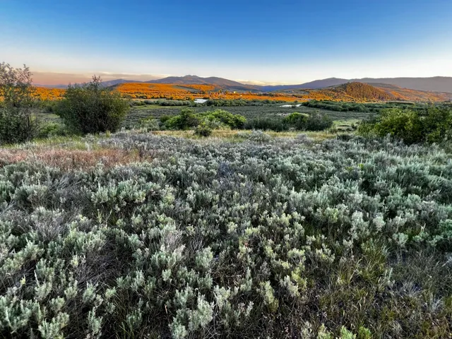 Expansive natural landscape with varied low-lying vegetation