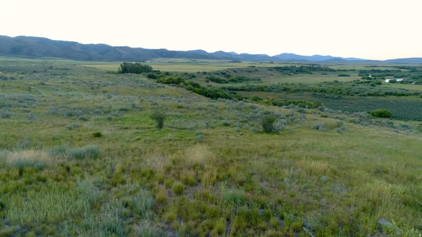 Expansive open land featuring diverse natural vegetation and a distant water body