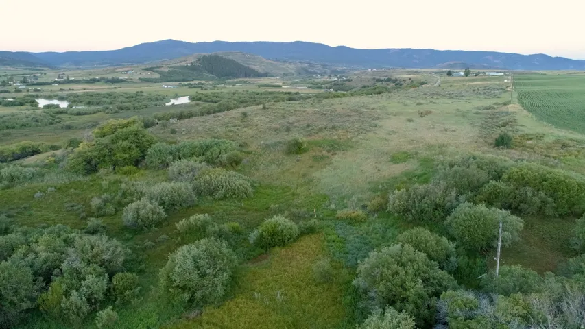 Expansive rural landscape featuring a mix of open fields, dense green foliage, and distant mountains