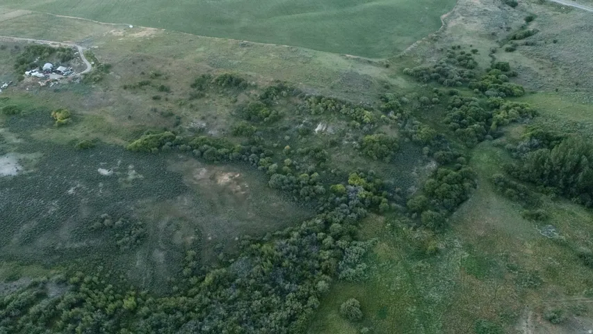 Expansive natural landscape featuring varied topography with areas of dense foliage and open ground