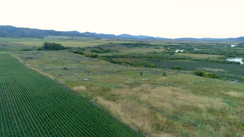 Expansive agricultural land featuring cultivated fields and natural grasslands