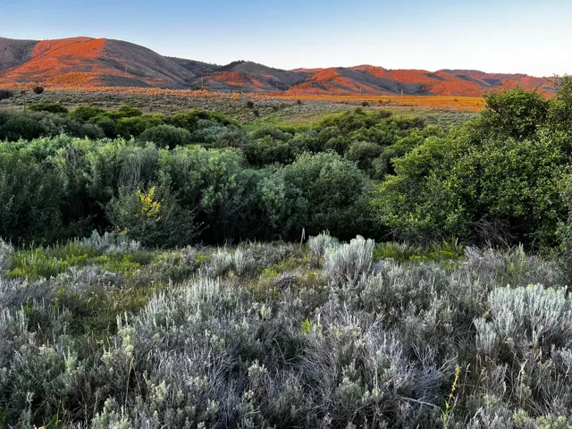 Expansive mountain scenery featuring distant peaks and varied natural foliage