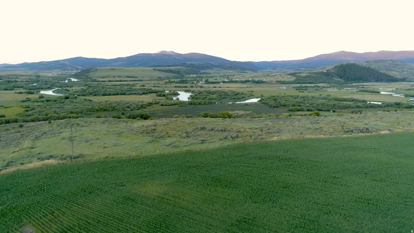 Expansive agricultural field with a meandering river system in the distance
