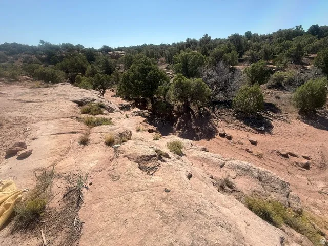 Natural terrain featuring exposed rock formations and varied desert flora under a clear sky