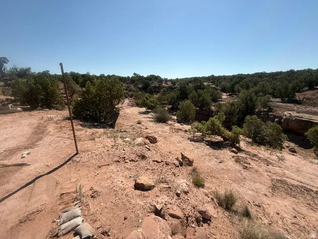 Expansive natural landscape featuring varied terrain, scattered native vegetation, and distant tree lines under a clear sky