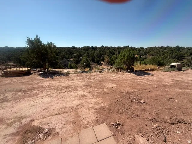 Expansive outdoor space featuring natural terrain and distant treeline