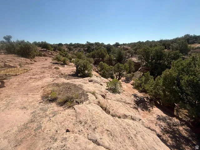 Expansive outdoor terrain featuring natural rock formations and abundant evergreen foliage