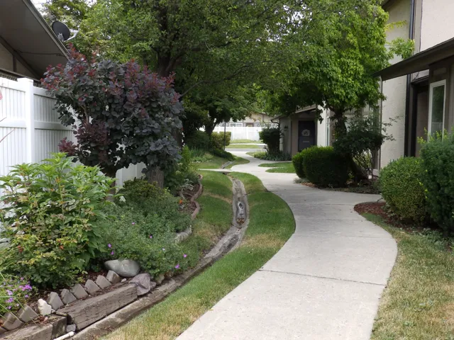 Winding concrete pathway bordered by manicured lawns and diverse mature landscaping