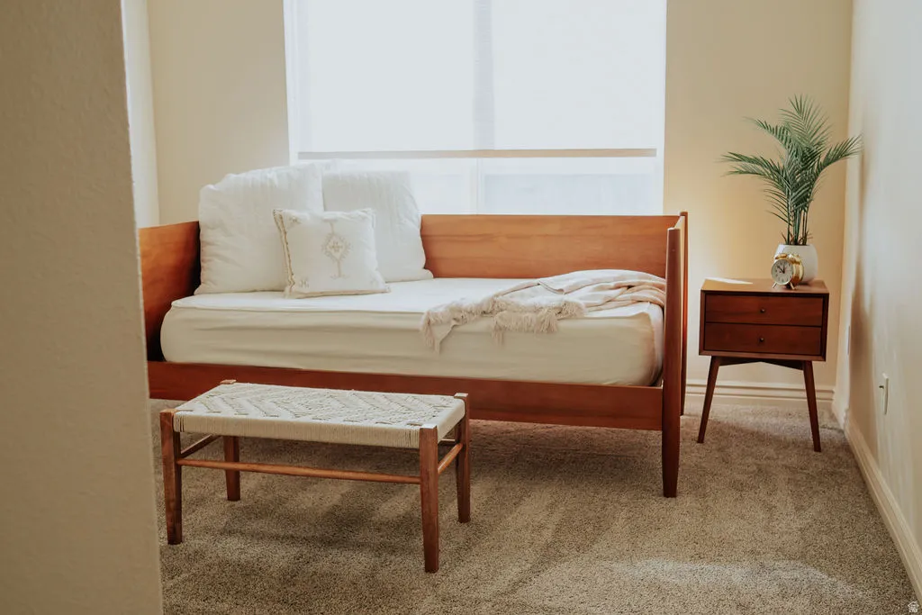 Plush carpeting complements neutral wall tones and a large window with roller shades
