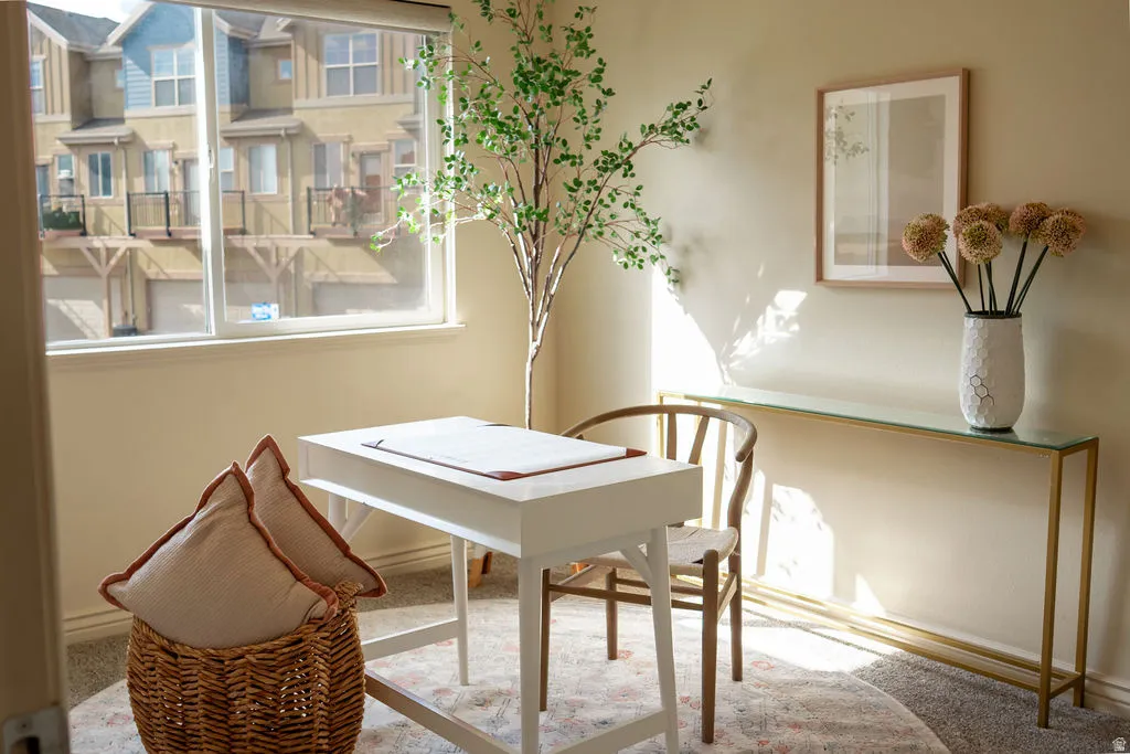 Spacious room featuring a large window, neutral wall paint, and plush carpeting