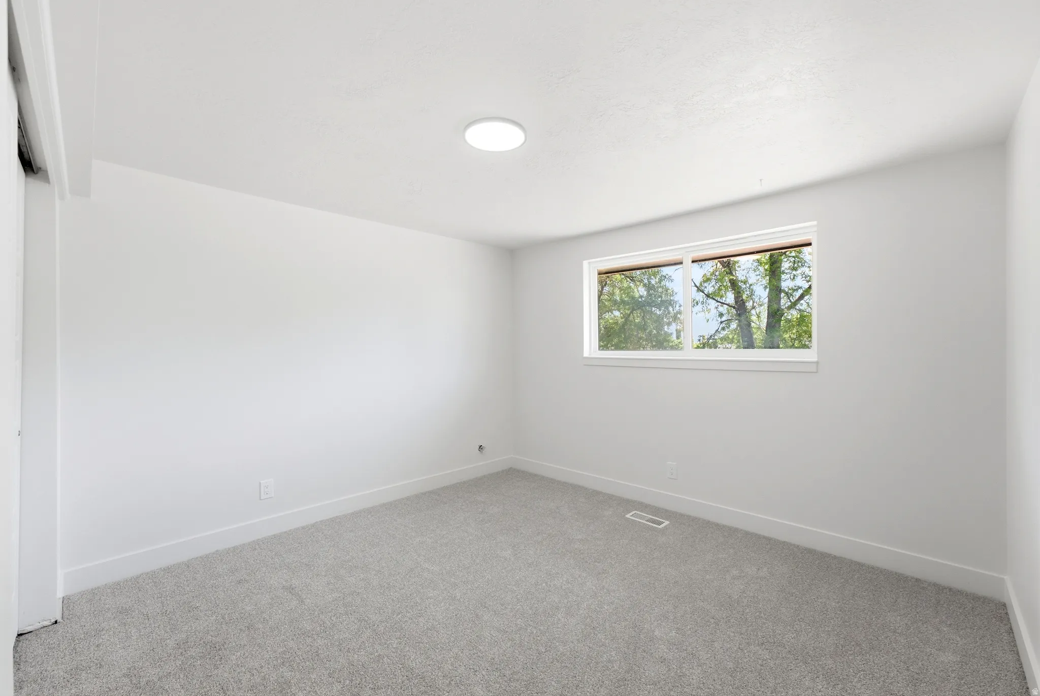 Bright interior space featuring a window with exterior tree views, light gray carpeting, and white baseboards
