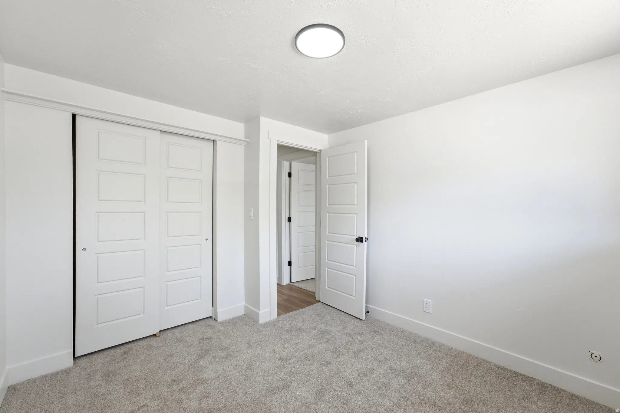 Neutral wall tones, plush carpet, and a flush-mount ceiling light