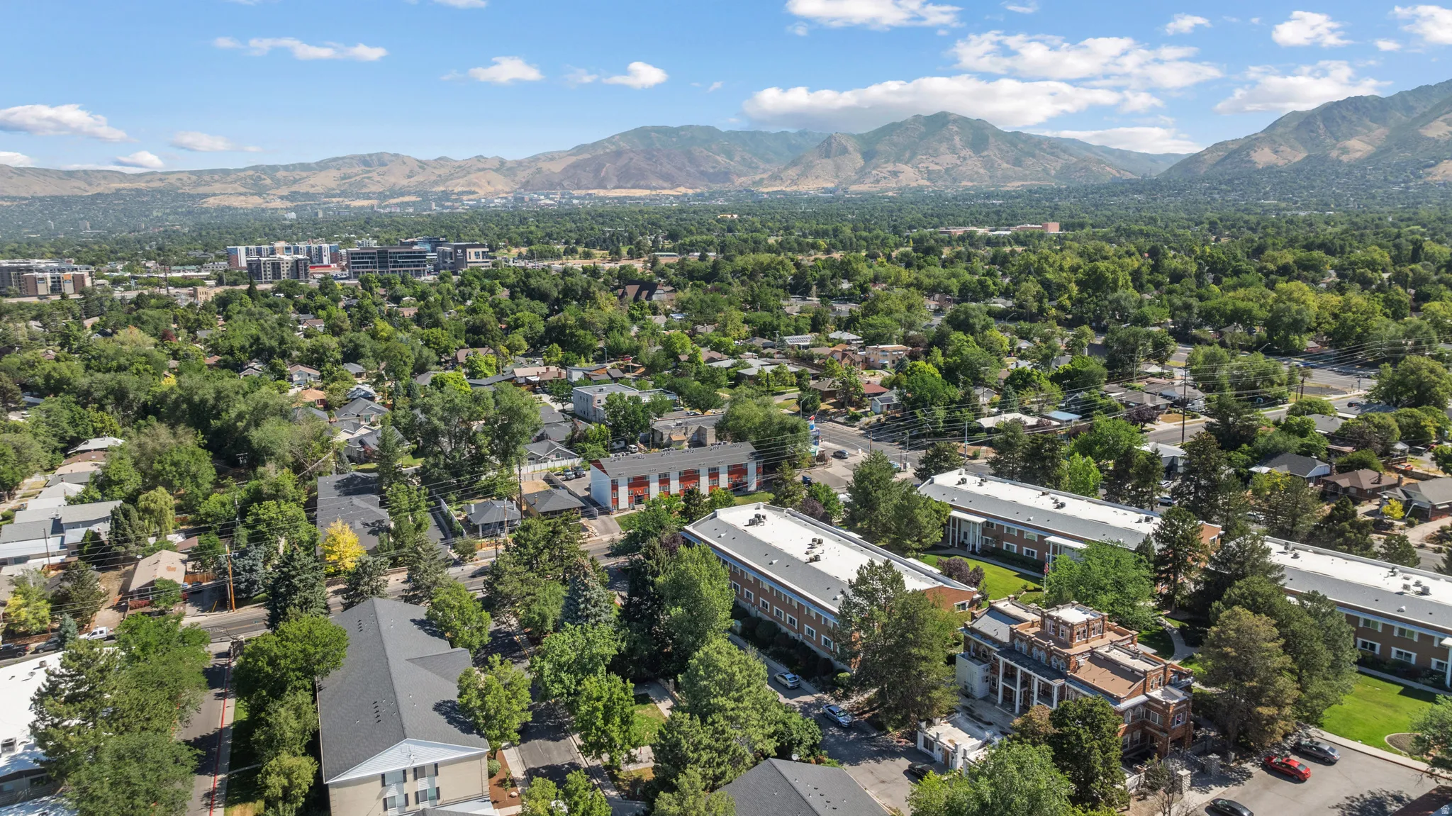 Expansive aerial perspective showcasing a verdant urban landscape with mature trees and a distant mountain range backdrop