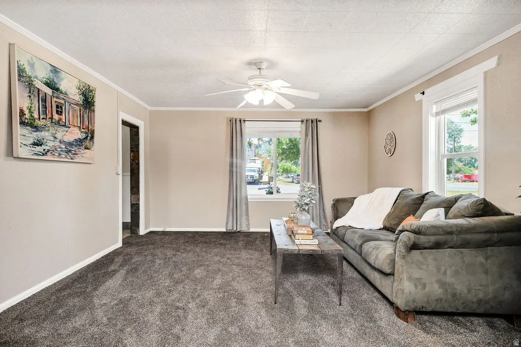 Carpeted living space featuring neutral wall tones, white trim, and a ceiling fan with light fixture