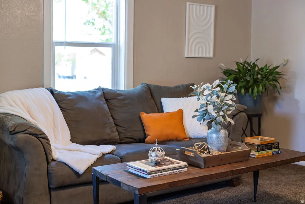 Neutral wall paint with white trim around a double-hung window