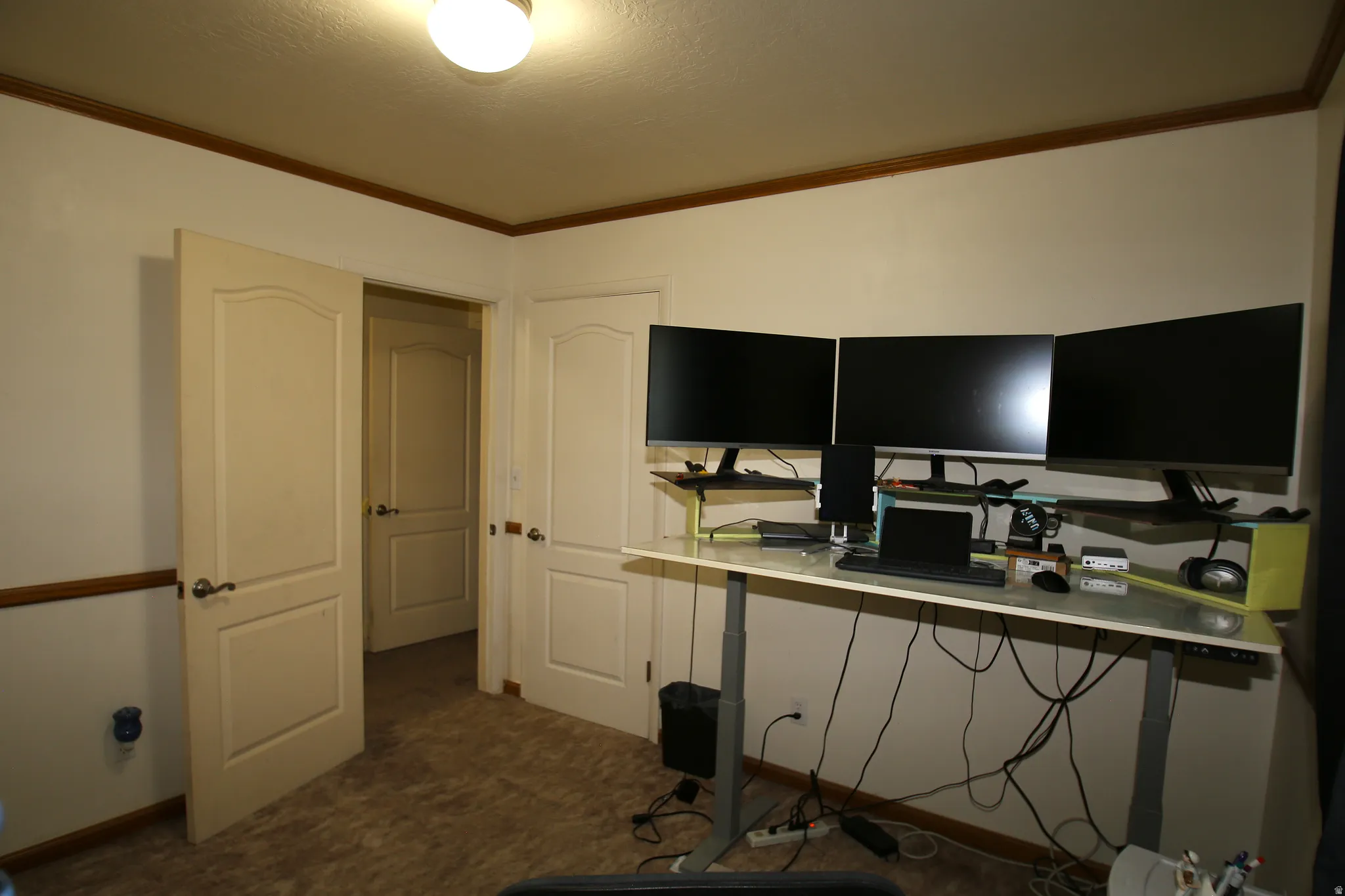 Room with neutral wall paint and carpeting, featuring a single flush-mount ceiling light fixture, wood trim, and two paneled doors