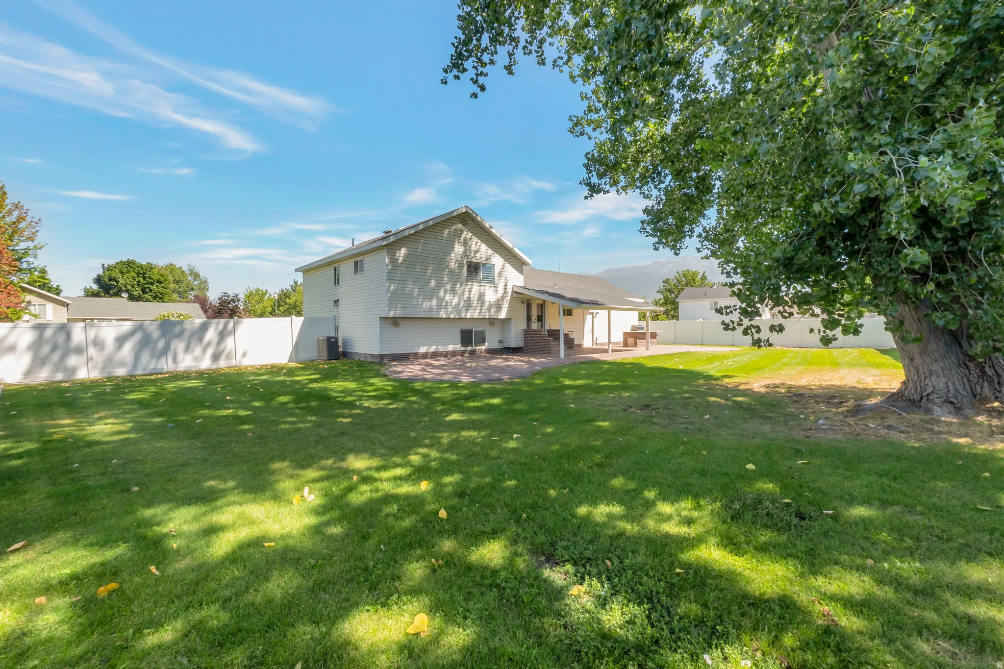 Spacious backyard featuring a large tree, expansive green lawn, and a white privacy fence