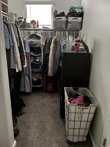 Walk-in closet featuring carpet flooring, built-in shelving, and a window with blinds