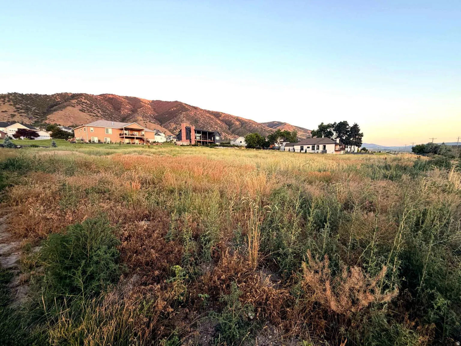 Expansive land parcel featuring natural grasses and distant mountain scenery