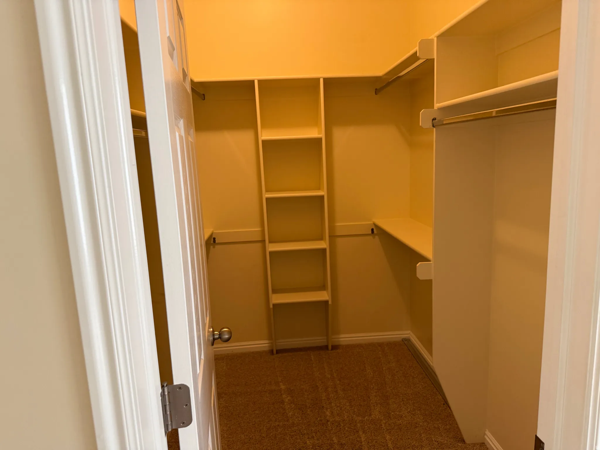 Walk-in closet featuring built-in shelving, hanging rods, and carpet flooring