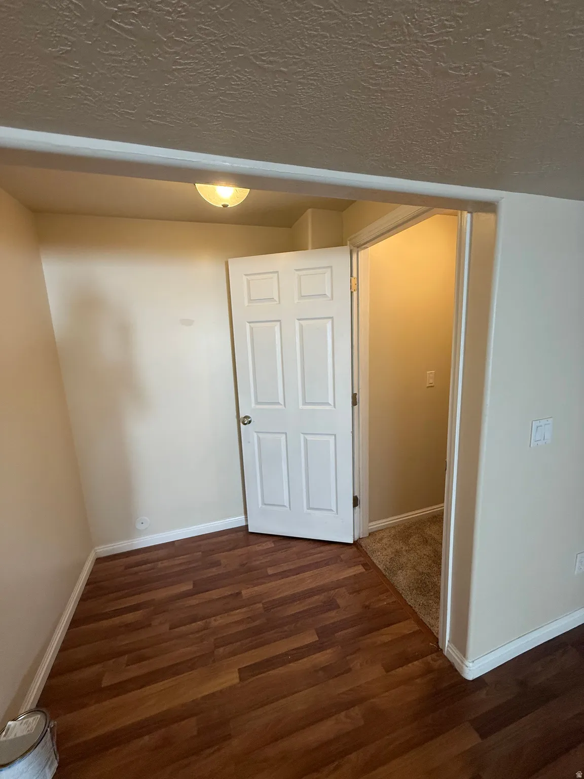 Wood-finish flooring with baseboard trim, neutral wall paint, and a classic paneled door