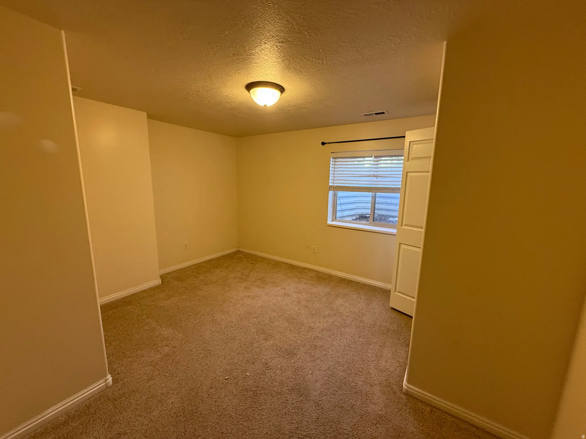 Carpeted room featuring a window with horizontal blinds, a flush-mount ceiling light fixture, and white trim molding