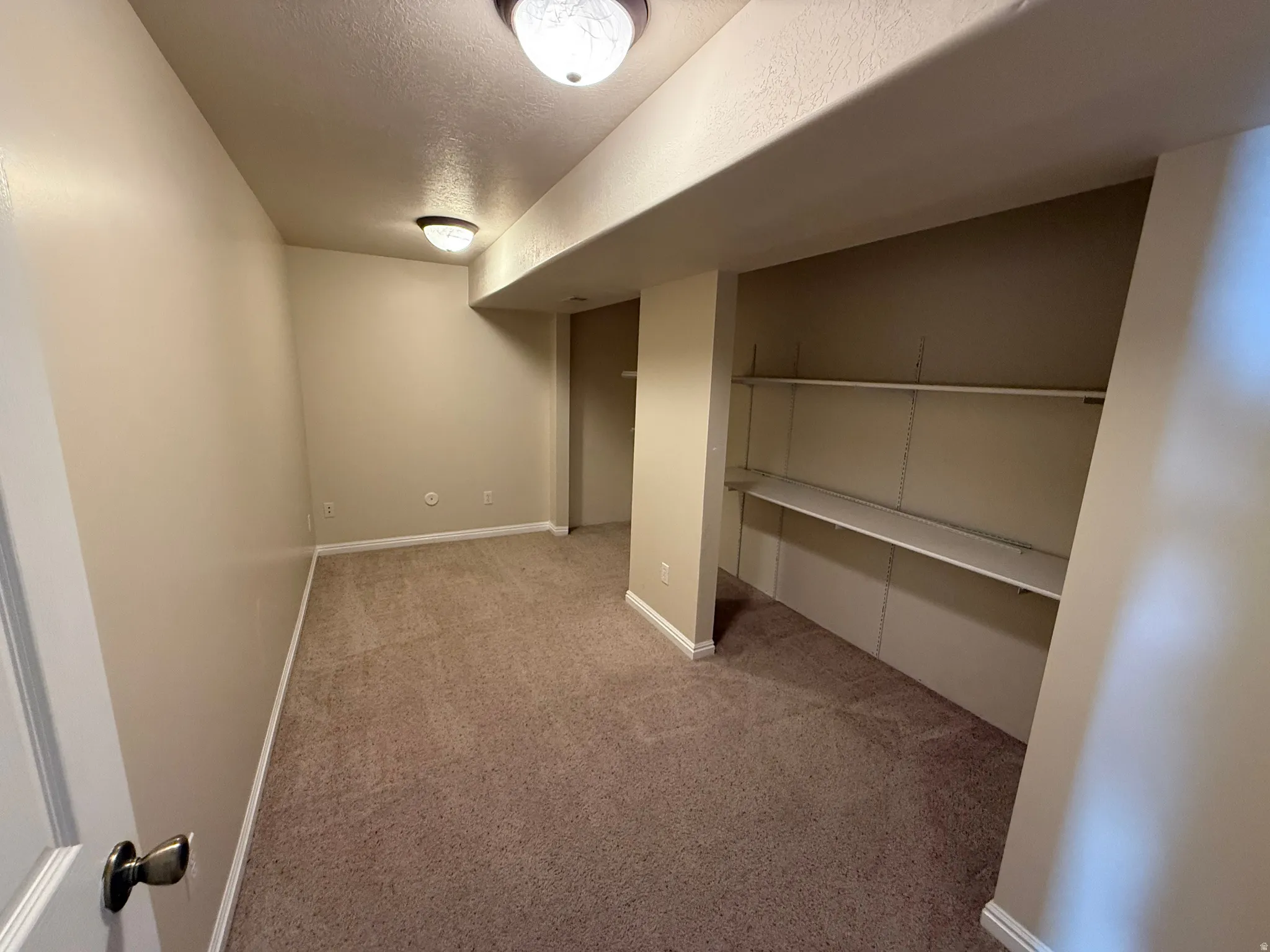 Carpeted room with recessed shelving, neutral wall paint, and two ceiling-mounted light fixtures