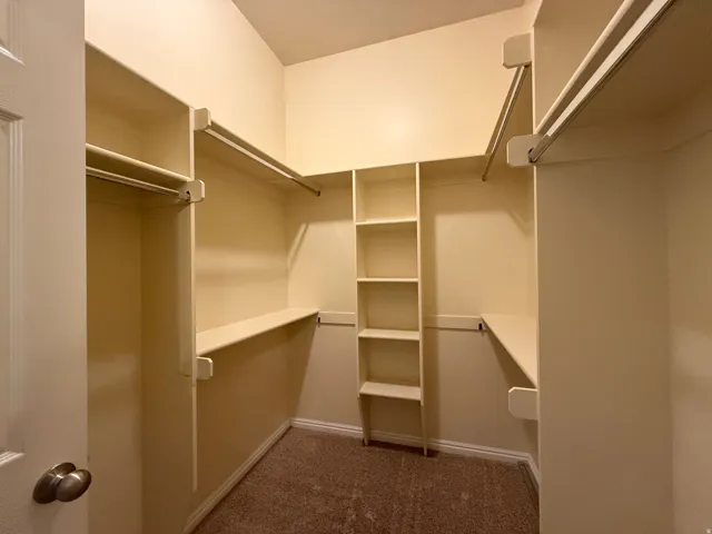 Walk-in closet featuring carpet flooring, built-in shelving, and multiple clothing rods