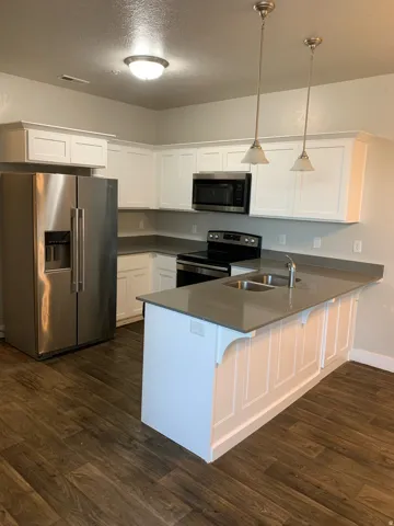 Kitchen featuring wood-finish flooring, white cabinetry, a U-shaped countertop, stainless steel appliances, and pendant lighting