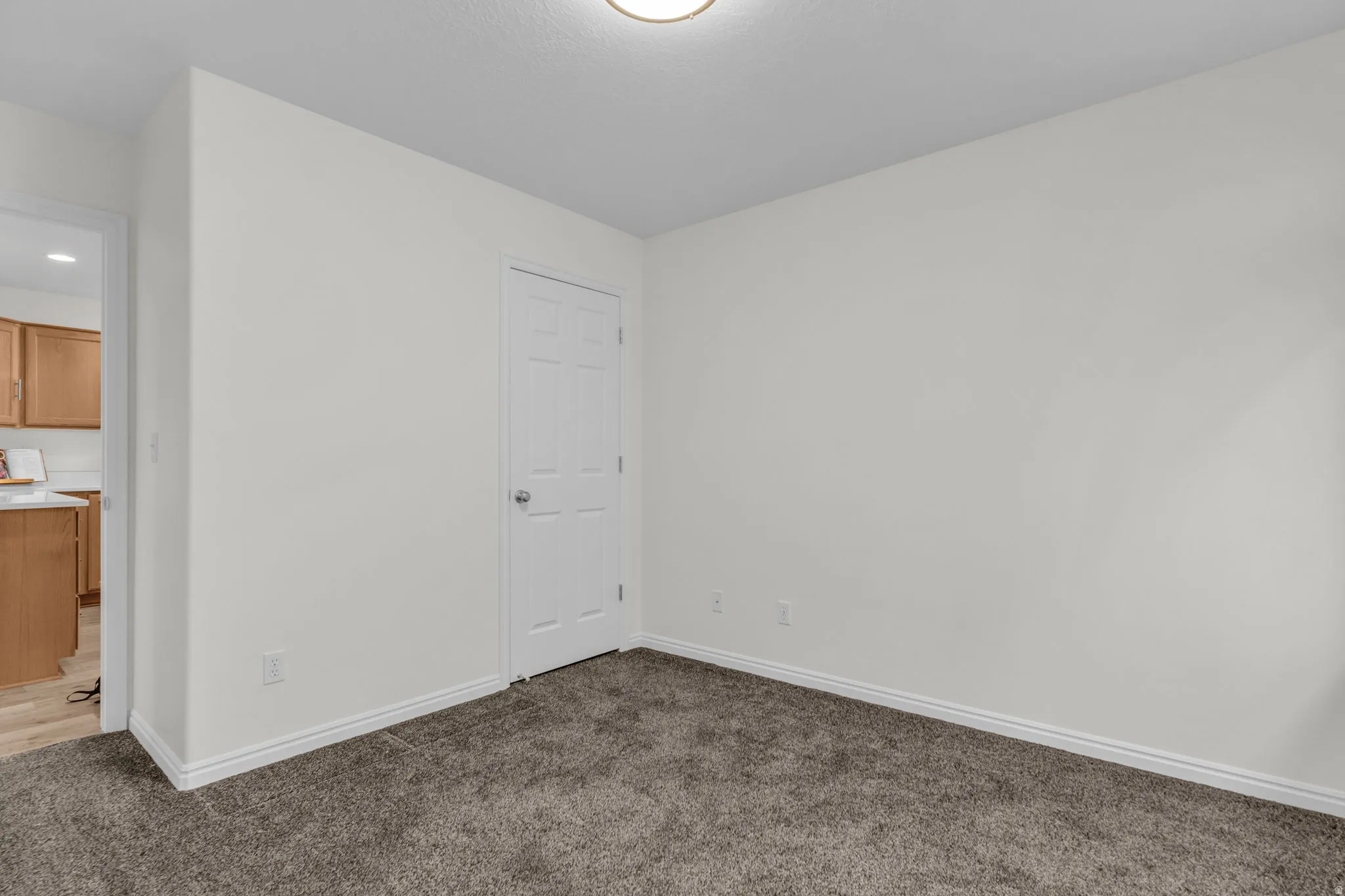 Neutral wall paint with contrasting white trim, textured carpet flooring, and a white paneled door