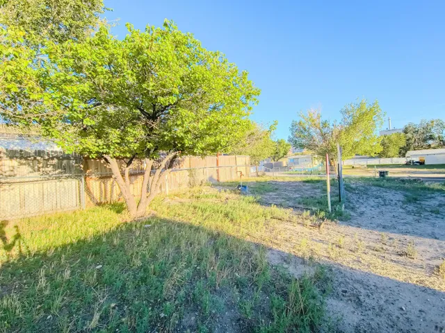 Expansive exterior space featuring a mature tree, natural ground cover, and a combination wood and chain-link fence