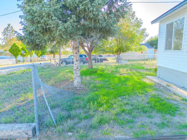 Large yard