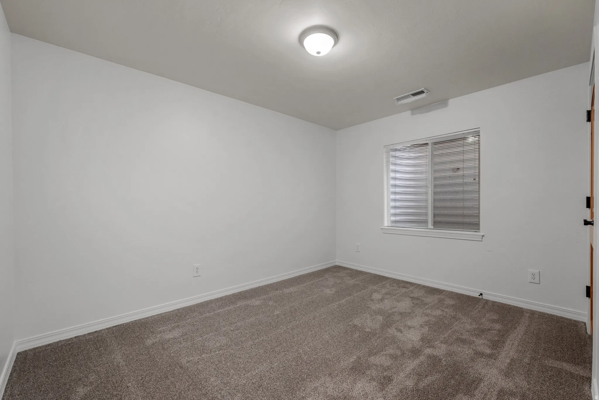 Neutral paint palette with carpet flooring, a single window, and flush-mount ceiling light