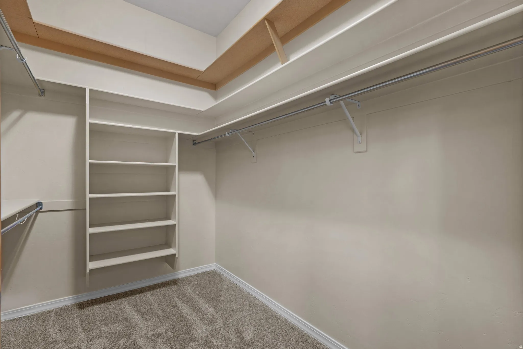 Walk-in closet featuring carpet flooring and built-in shelving