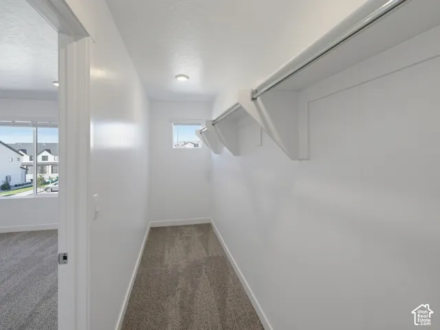Walk-in closet featuring built-in shelving, hanging rods, recessed lighting, and carpeted flooring