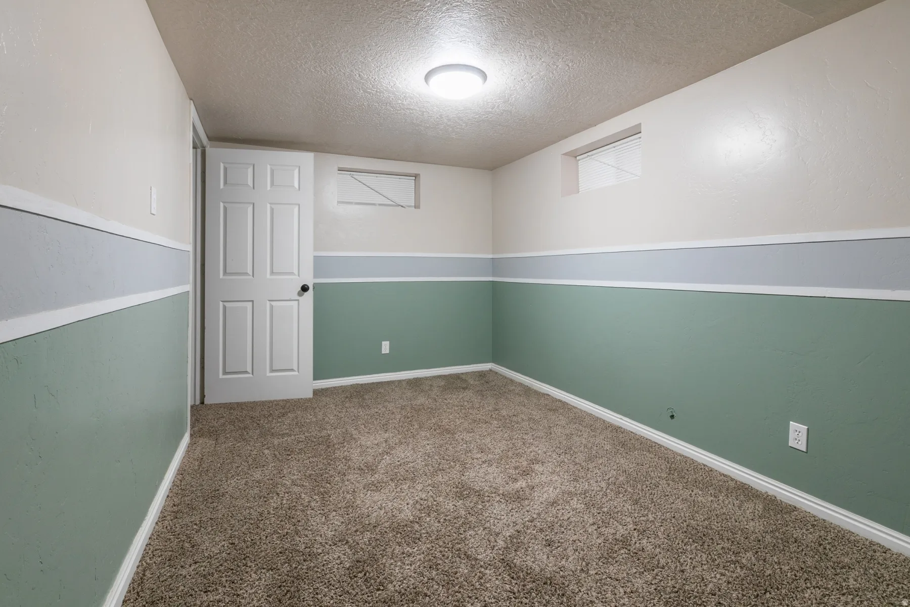 Carpeted room featuring a white paneled door, horizontal wall trim, and a flush mount ceiling light