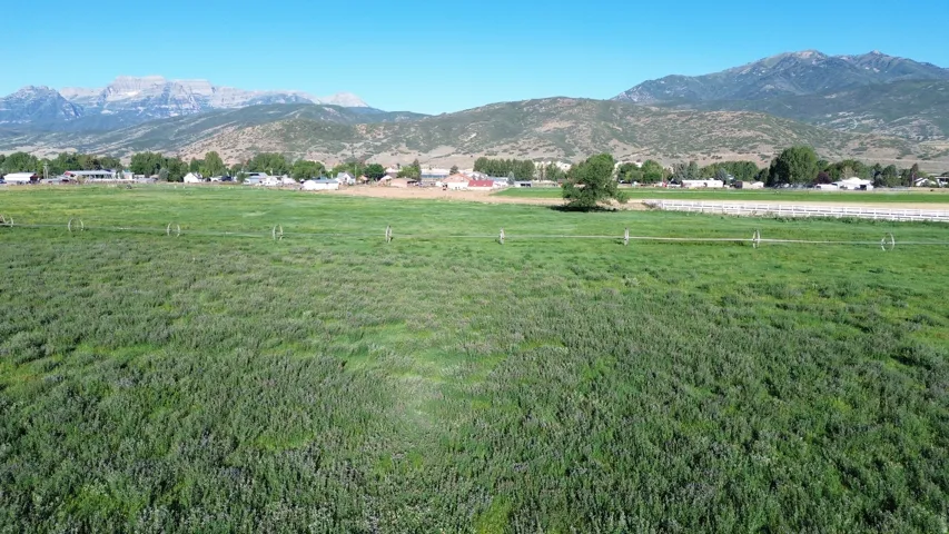Expansive green field with mountain backdrop