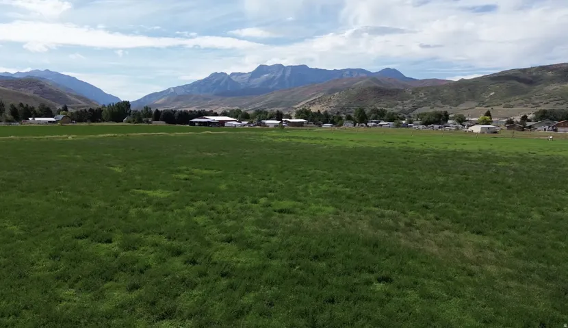 Expansive green field with distant mountain ranges and scattered structures
