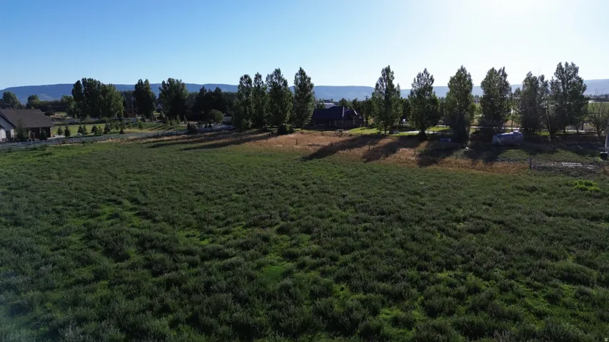 Expansive open field with natural ground cover
