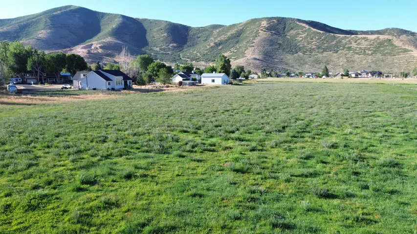 Expansive green field with distant mountain range backdrop