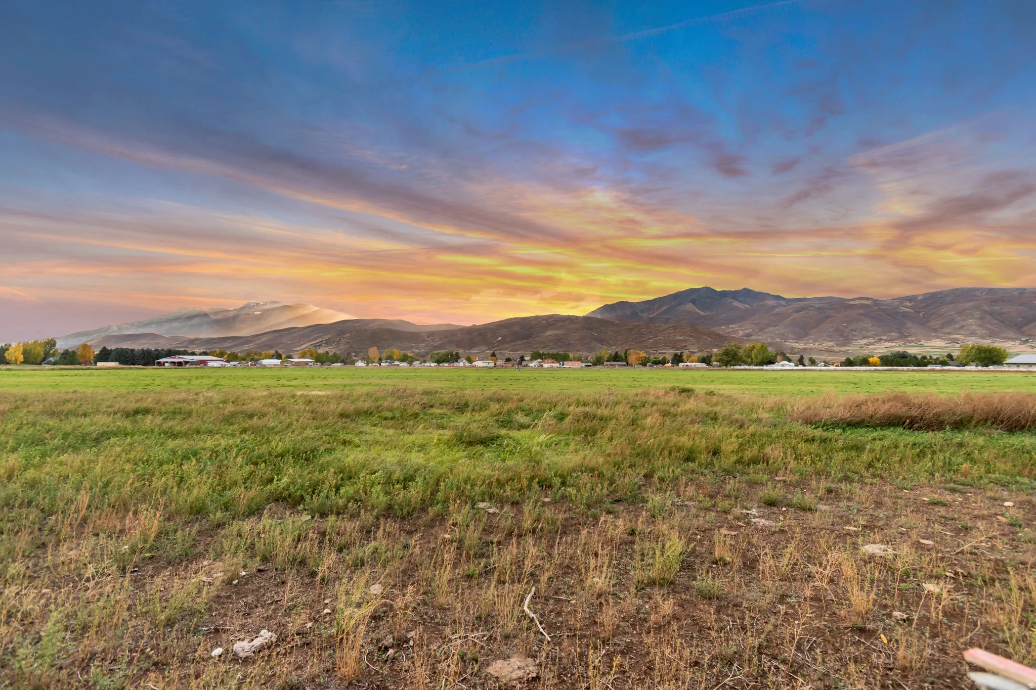 Expansive green field with distant mountain range