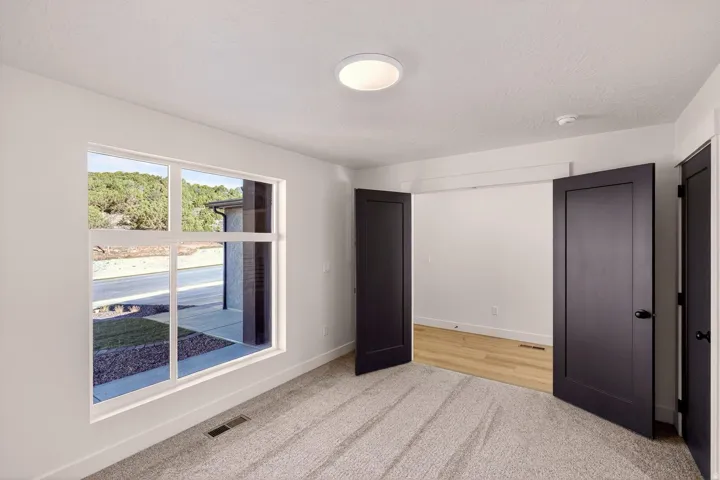 Bright room featuring a large window, plush carpet, and modern dark interior doors