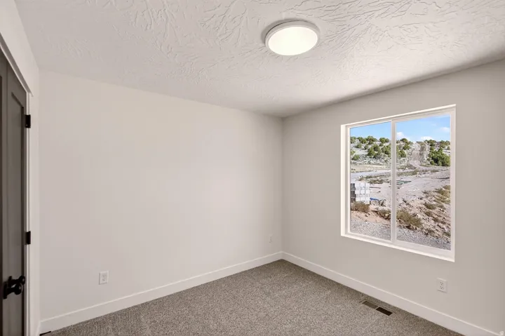 Room featuring a large window, neutral carpeting, and a flush-mount ceiling light