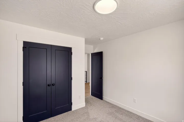 Room featuring dark panel doors with round hardware, white trim, and light-colored textured carpeting