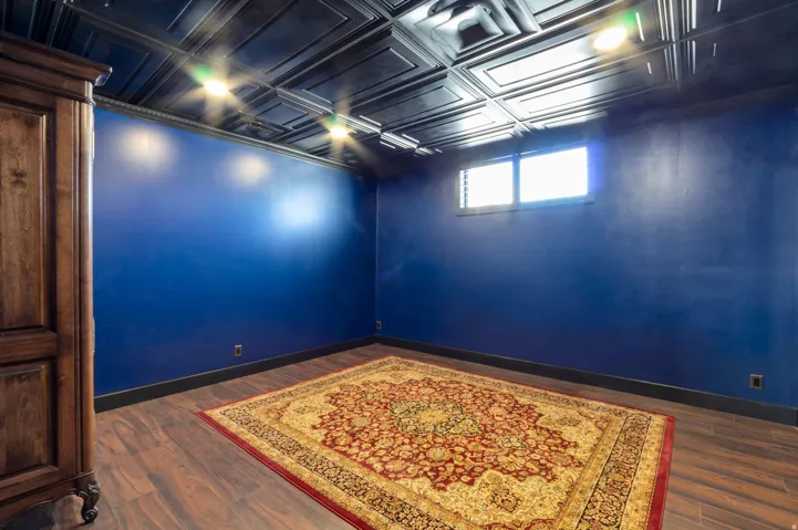 Room featuring a dark blue wall color, wood-finish flooring, and a decorative pressed tin ceiling